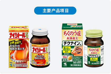 重要产品项目